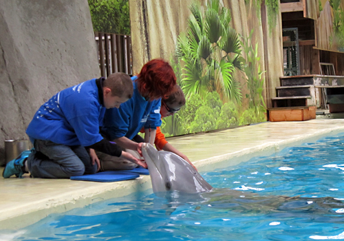 Des enfants déficients visuels caressent un dauphin
