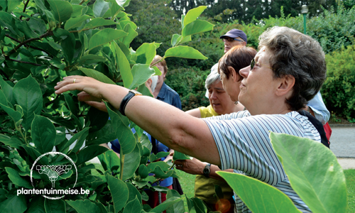 Een vrouw raakt een plant aan met haar vingertoppen - Copyright : Nationale Plantentuin van België