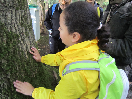 Un enfant aveugle touche l’écorce d’un arbre