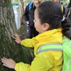 Un enfant aveugle touche l’écorce d’un arbre