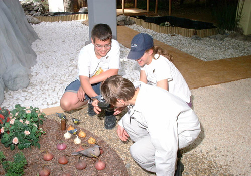 Trois enfants déficients visuels touchent un oiseau dans le musée.