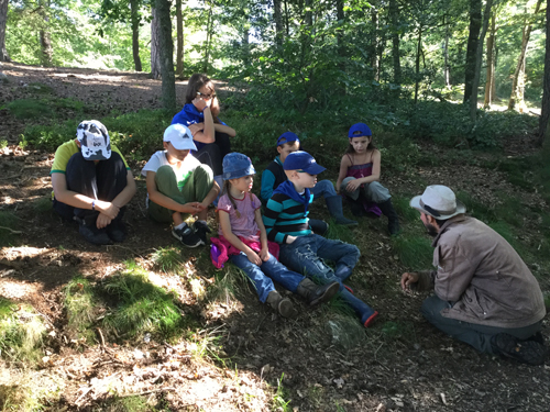 Les enfants sont assis dans la forêt et écoutent le guide.