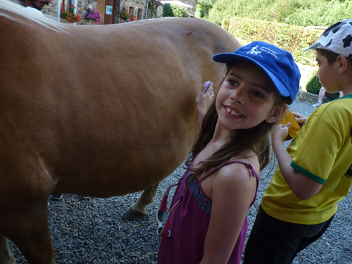 Un enfant déficient visuel brosse un poney.