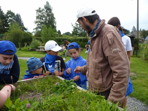 Les enfants apprennent à reconnaître des herbes sauvages.