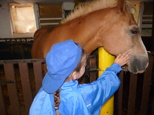 Un enfant déficient visuel caresse un poney de la ferme.