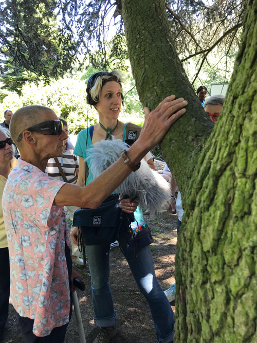 Une participante touche de la main droite une branche du cèdre, tandis qu’une représentante de Wood Wide Web enregistre ses réactions avec un micro.