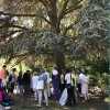 Le groupe est rassemblé devant l’immense cèdre qui étale ses branches aux épines de couleur bleue.