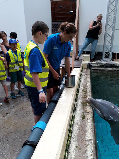 Enfant et accompagnateur du parc aquatique devant un dauphin.