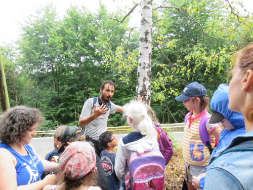 Le guide explique la différence entre les types d’arbres au groupe d’enfants