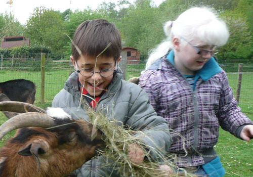 Deux enfants donnent à manger à une chèvre lors du BrailleDay 2012.