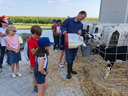 De deelnemertjes kijken toe hoe een boer de melk voor de kalveren bijvult. 