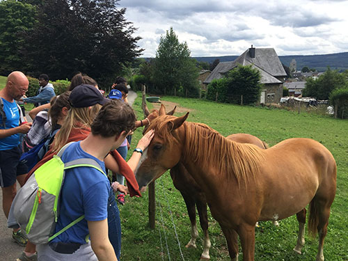 Les enfants touchent les chevaux