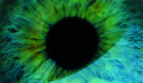 Close-up van een oog